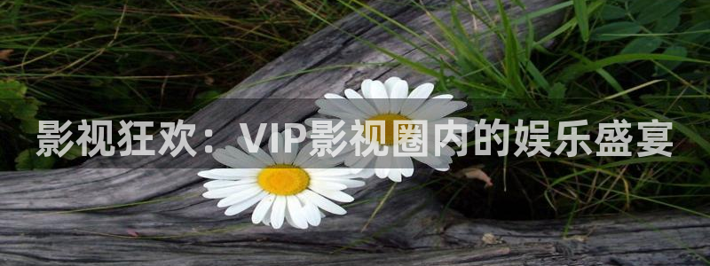 恐怖蜡像馆 电影天堂：影视狂欢：VIP影视圈内的娱乐盛宴