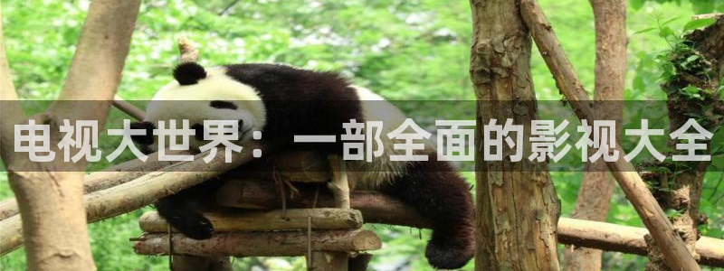 男人天堂电影av：电视大世界：一部全面的影视大全