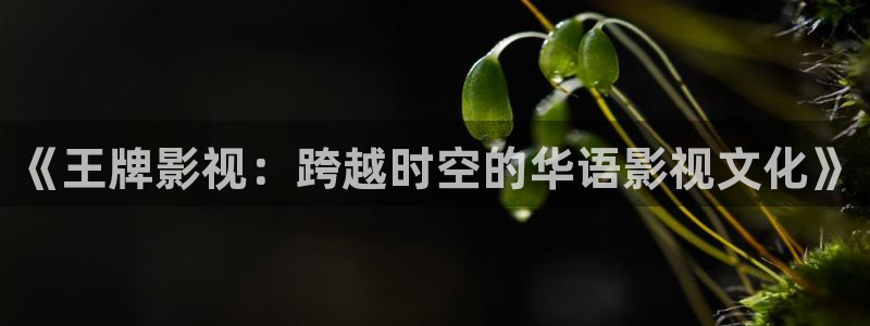 99电影天堂网：《王牌影视：跨越时空的华语影视文化》