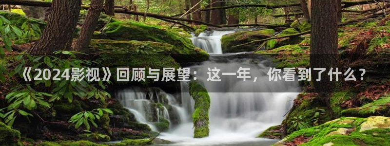 236电影天堂：《2024影视》回顾与展望：这一年，你看到了什么？