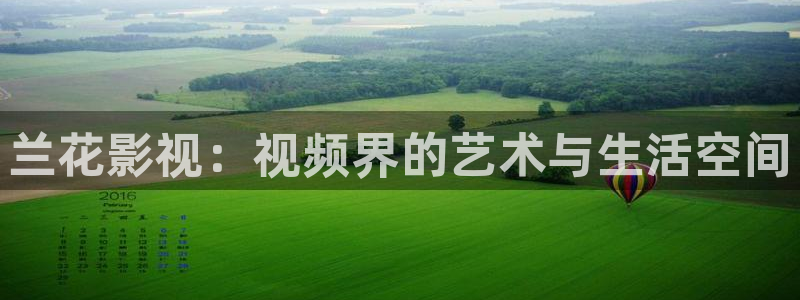 8090电影天堂大片：兰花影视：视频界的艺术与生活空间