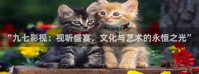 神马天堂电影在线：“九七影视：视听盛宴，文化与艺术的永恒之光”