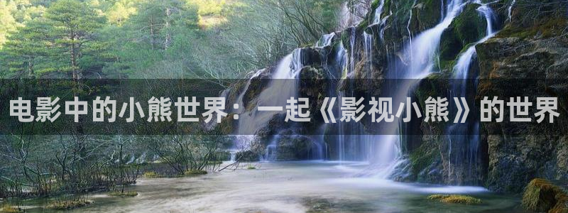 欧美va在线天堂电影：电影中的小熊世界：一起《影视小熊》的世界