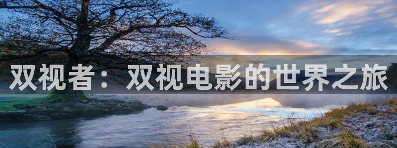 天堂美国电影：双视者：双视电影的世界之旅